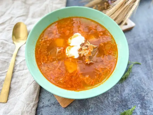 Готовим кислые щи: классические щи с квашенной капустой