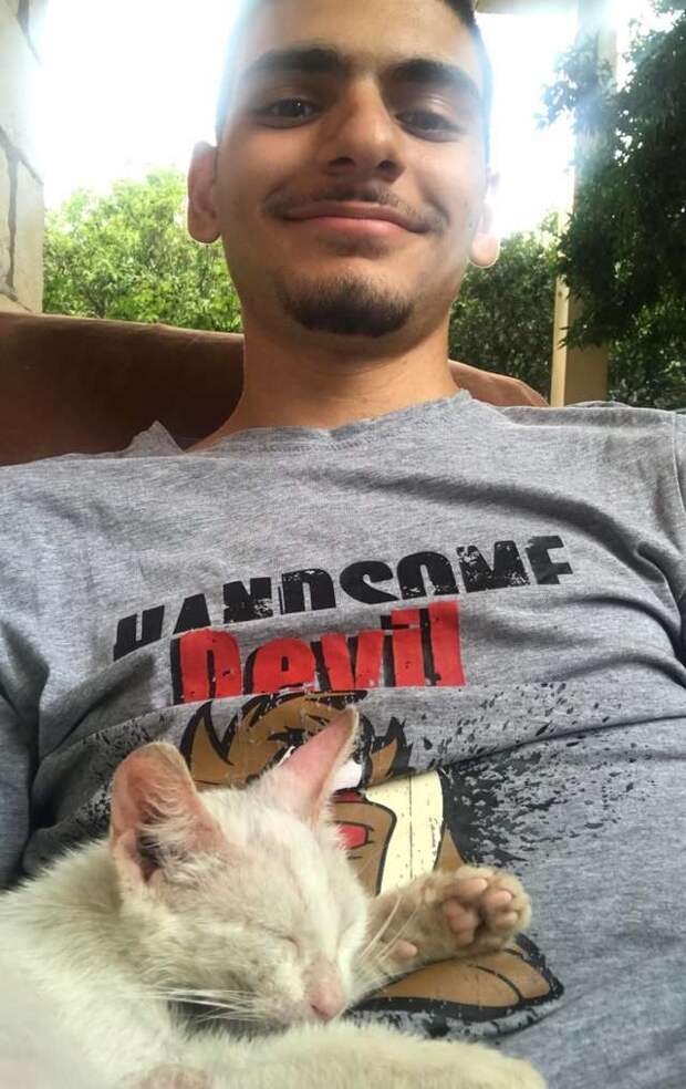 котенок пришел в чужой двор парень с котенком