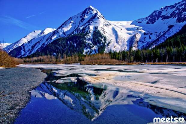 Alaska wild nature