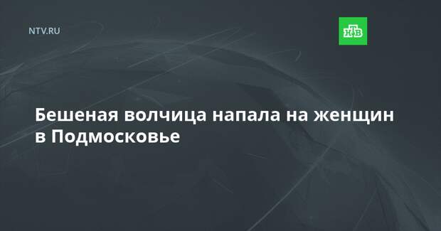 Бешеная волчица напала на женщин в Подмосковье