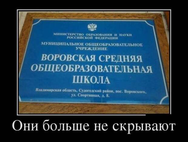 Обо всём.