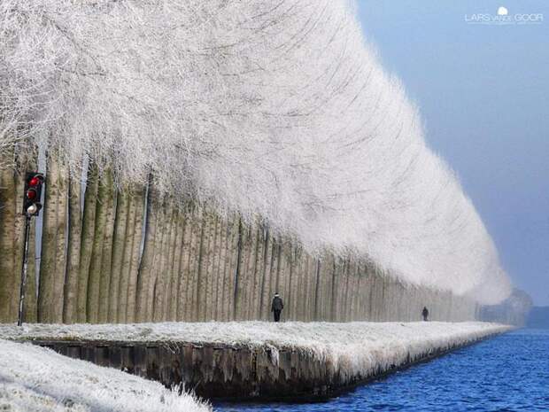 зимние пейзажи снежная аллея