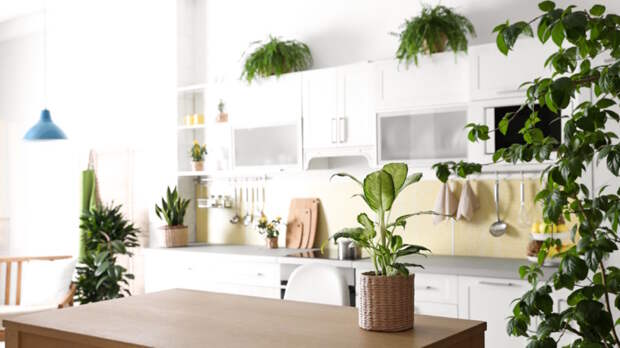 Назван главный тренд года в дизайне кухни