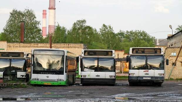 Коллекционный ряд ''москвичей'' на территории АПАТа Арзамас, ЛиАЗ 677, автобус, автомир, лиаз, общественный транспорт, ретро техника