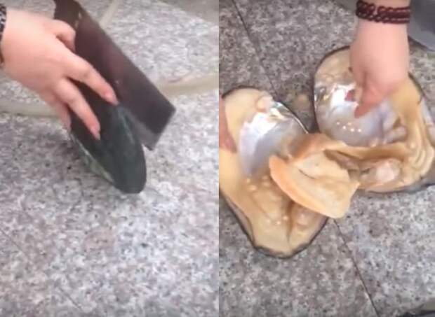 Удачная охота: женщина решила попытать удачу и обнаружила целую горсть жемчуга (фото)