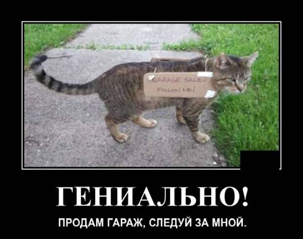 Демотиваторы (20 фото)