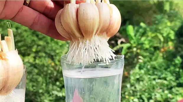 ������������ �������� � ��������