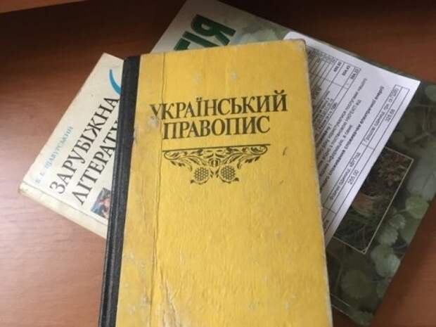 Вице-премьер Украины пригрозил президенту Зеленскому новым майданом