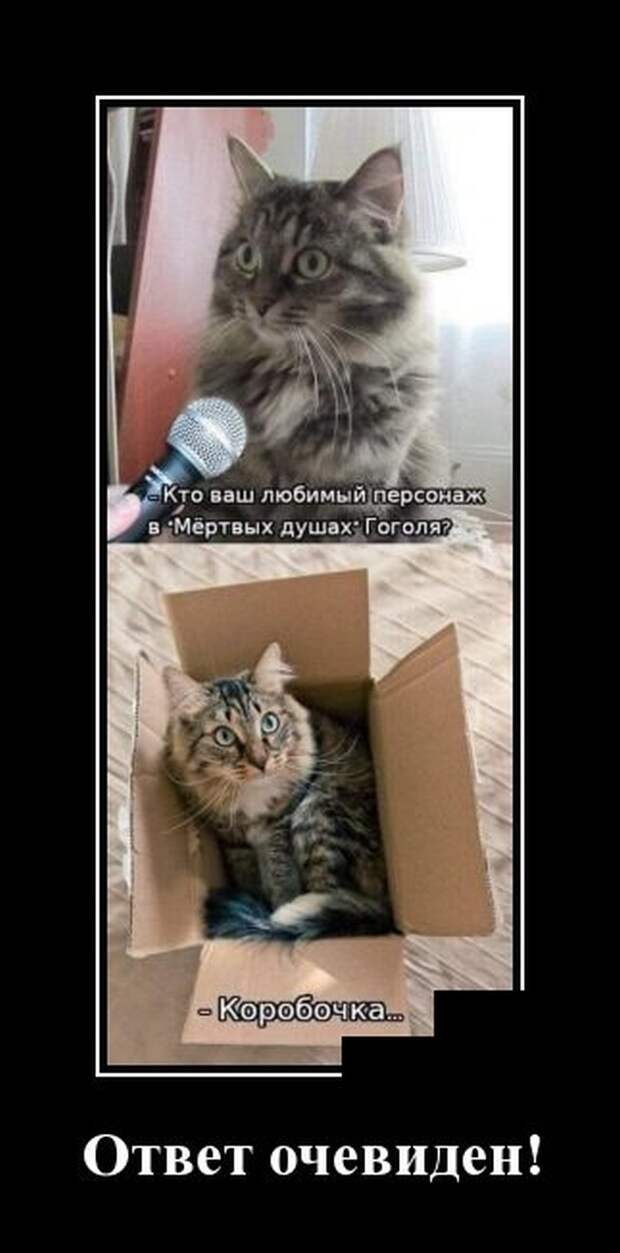 www.vsyako.net