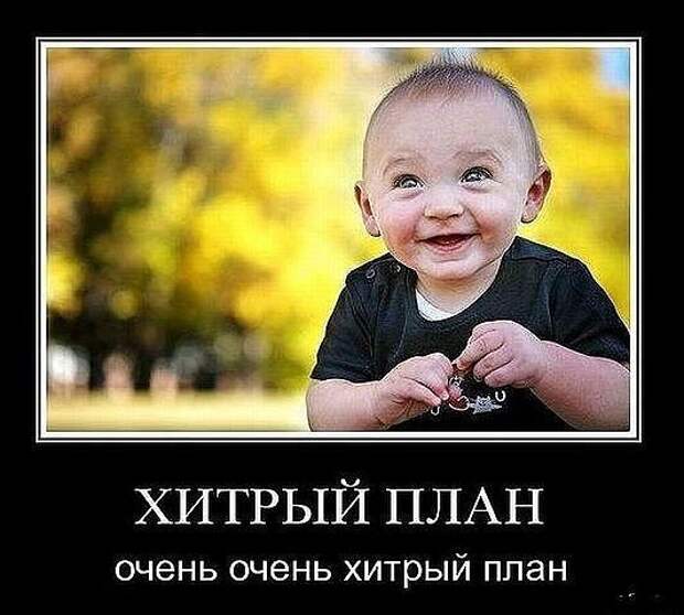 Новогодняя минутка юмора Новогодняя минутка юмора