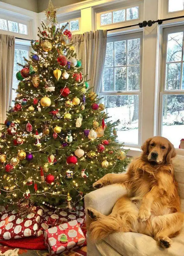 25 интересных и познавательных снимков со всего мира, которые наверняка вы увидите впервые 