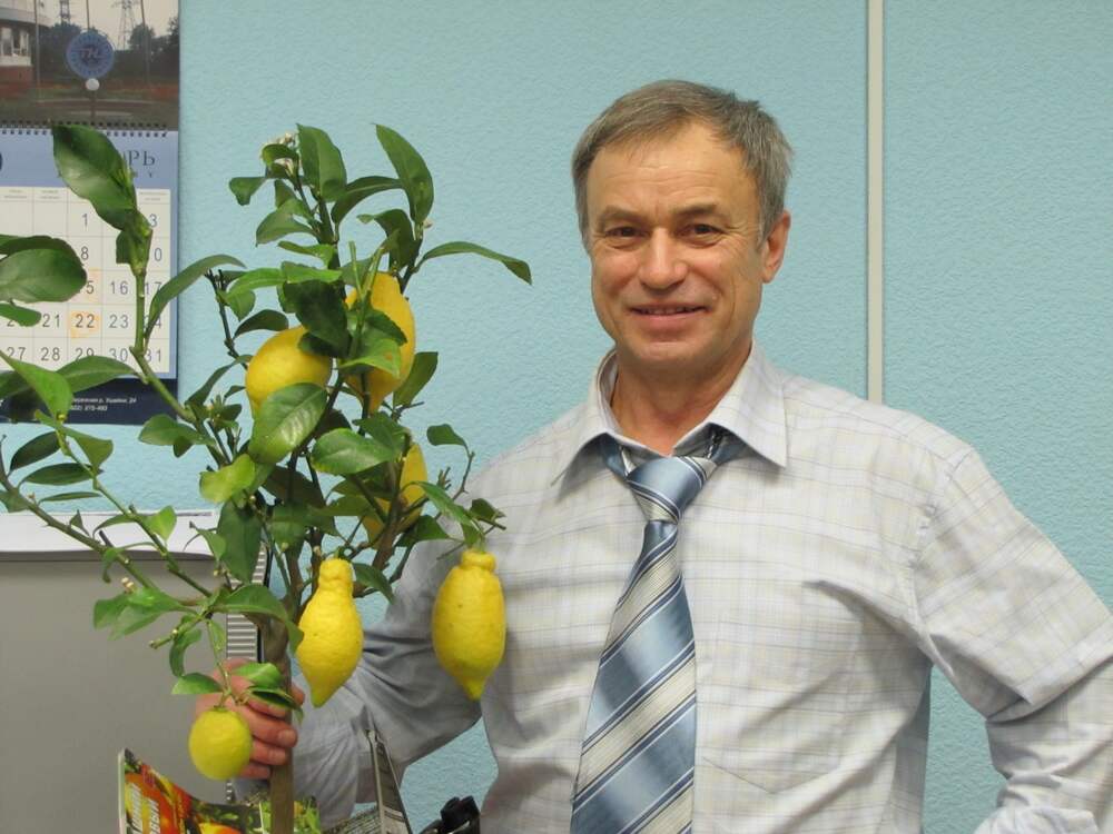 Шаталин виктор сергеевич сочи фото