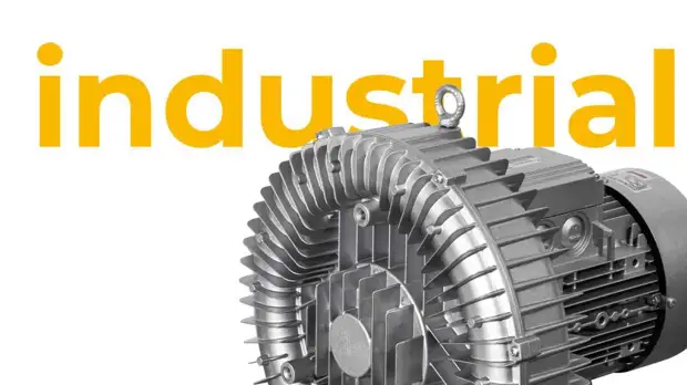 Я горжусь своим Президентом