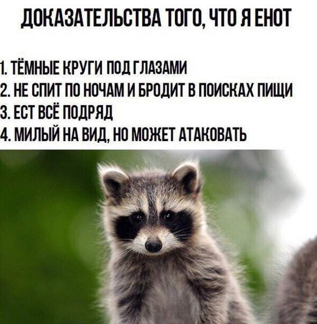 Подборка картинок. Вечерний выпуск (20 фото)