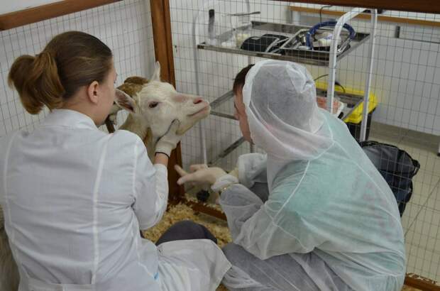 Тридцать работников АПК Нижегородской области получили по 2 млн руб.