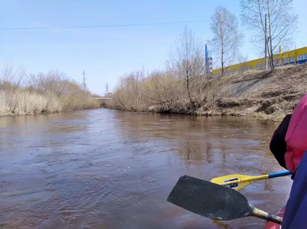 Художественно-экологический сплав по Барнаулке в 29-й раз прошел в столице края