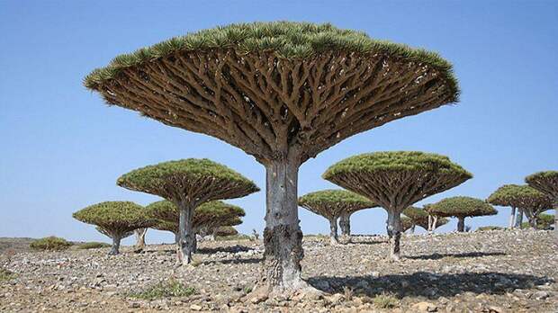 Фотография: 25 самых красивых и в то же время уединенных мест на планете №24 - BigPicture.ru