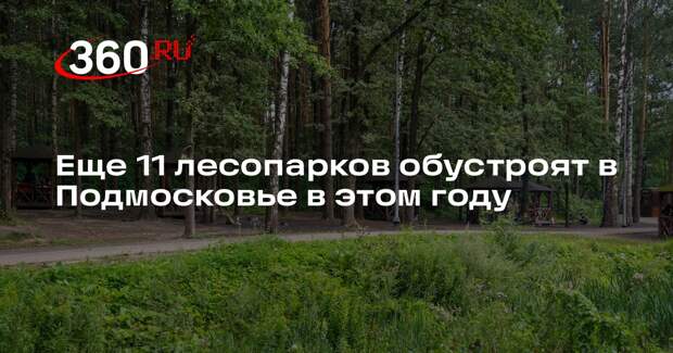 Еще 11 лесопарков обустроят в Подмосковье в этом году