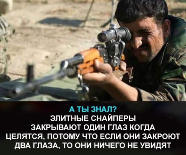 Подборка картинок. Дневной выпуск (20 фото)