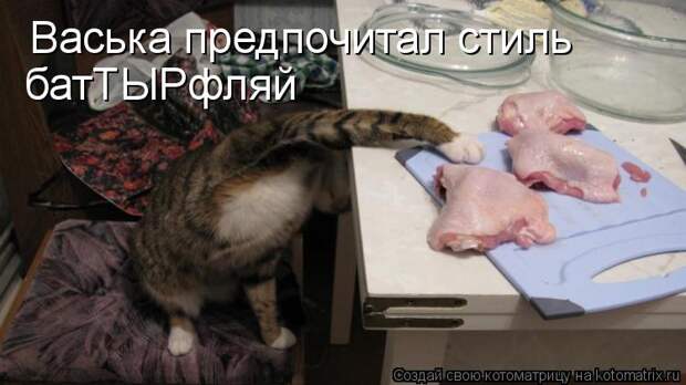 Уморительные истории о котах Уморительные истории о котах