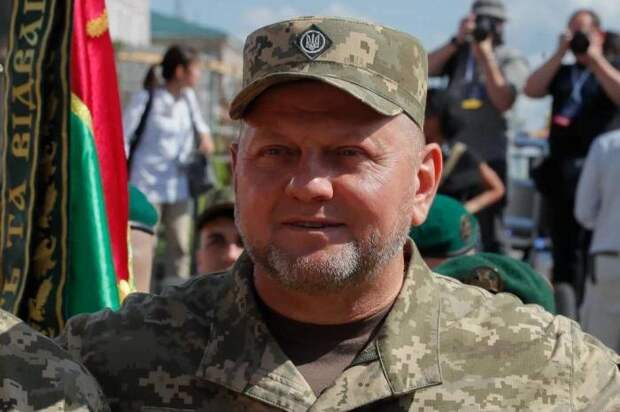 Бывший главком ВСУ Валерий Залужный. Фото © ТАСС / EPA / SERGEY DOLZHENKO