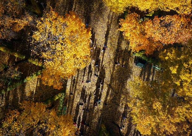 SPBFromAbove06 Санкт Петербург   вид сверху