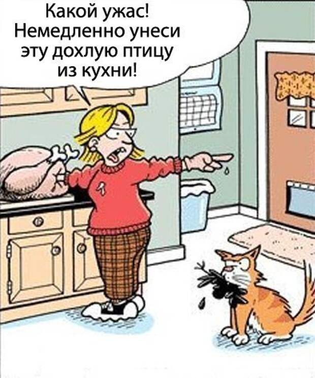 Смешные рисунки..))