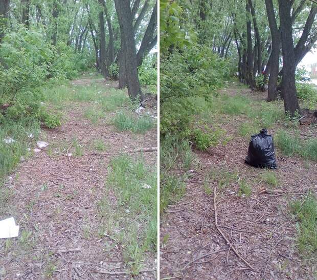 Он за 1 час собрал 28 мешков мусора. Взгляни, как обычный парень сам очищает родной город.