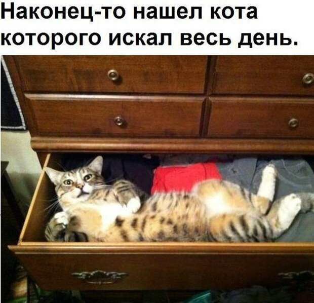 Новогодние приколы