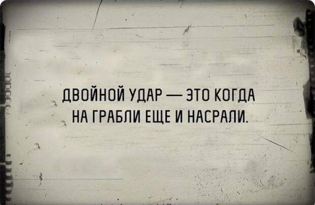 Смотреть прикольные картинки с шутками