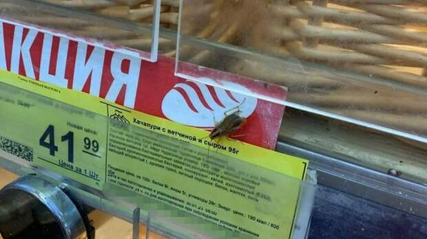 Фото: Barnaul 22