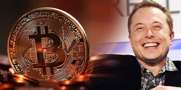 Илон Маск не вошёл в Совет майнеров Bitcoin, созданный фактически с его подачи