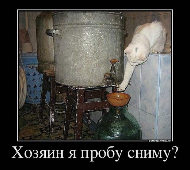 Где демотиваторы - там позитив!