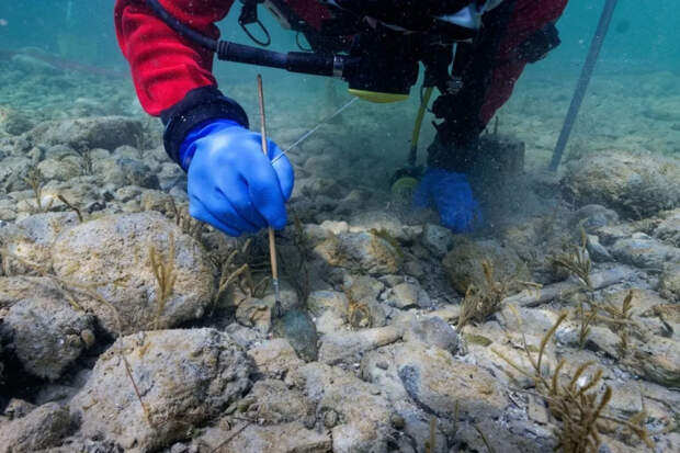 Со дна озера подняли более тысячи древнеримских артефактов