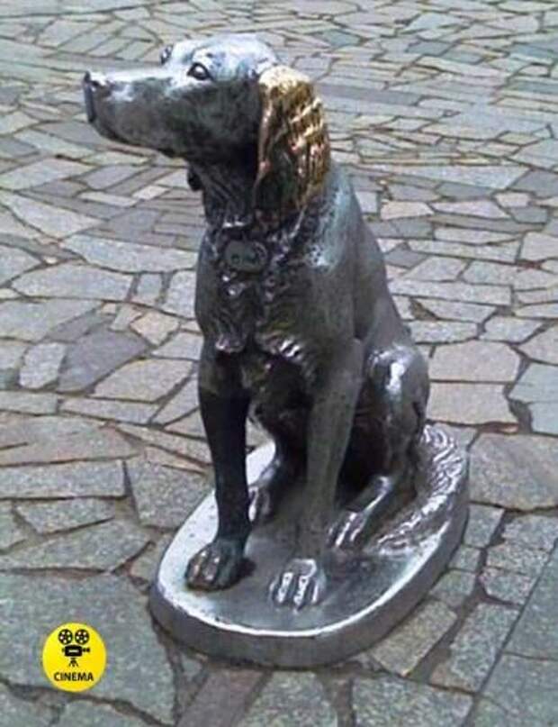 В Воронеже установлена бронзовая скульптура собаки из фильма "Белый Бим Чёрное ухо" в память о Биме и о собачей верности.