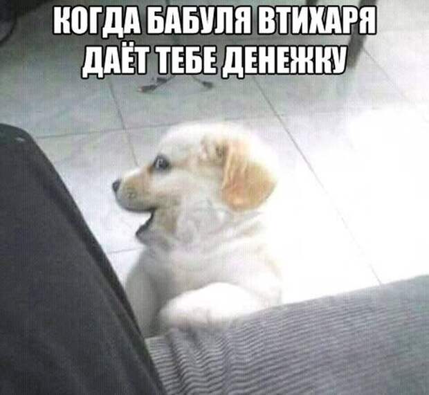 Прикольные картинки