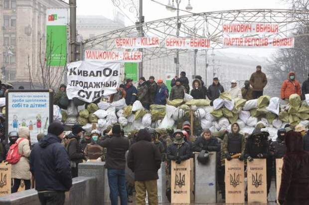 Киевляне за чистый город и против фашистов