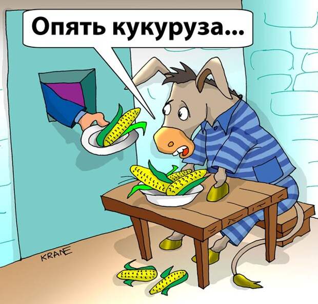 Яценюк: захватим рынок кукурузы и договоримся о газе