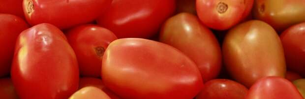 Трёхдневная сельхозярмарка пройдет в Алматы