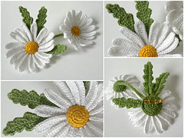camomile_3 (288x216, 26Kb)