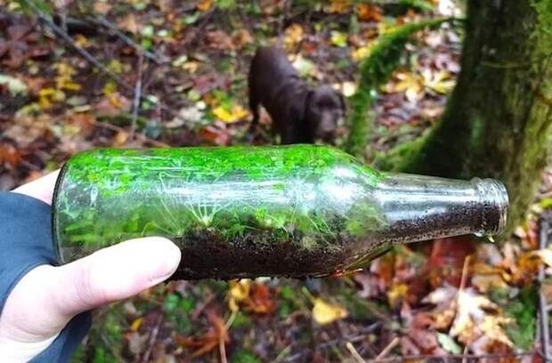 20 необычных находок и открытий, которыми поделились пользователи сети