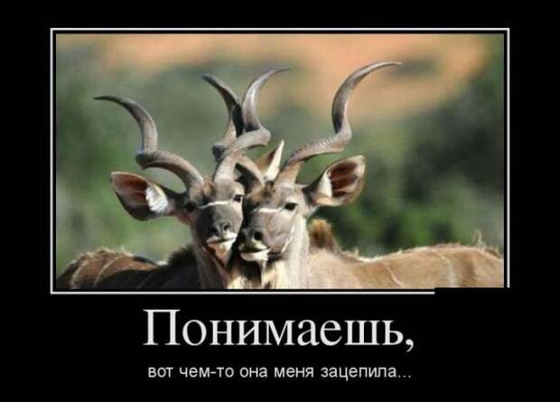 Обо всём.