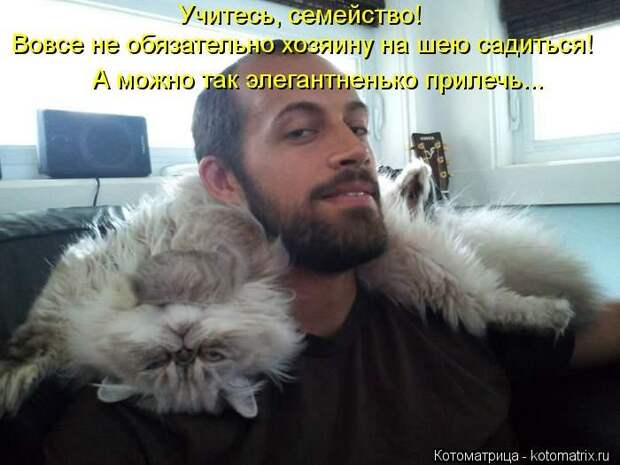 Лучшие котоматрицы недели Лучшие котоматрицы недели