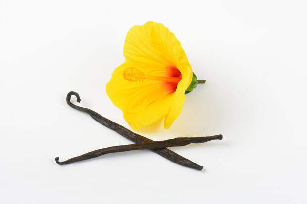 RJPM: ванилин может защищать клетки от воспалительных повреждений