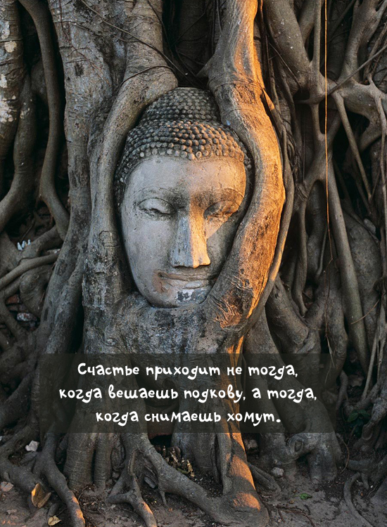 Картинка №9