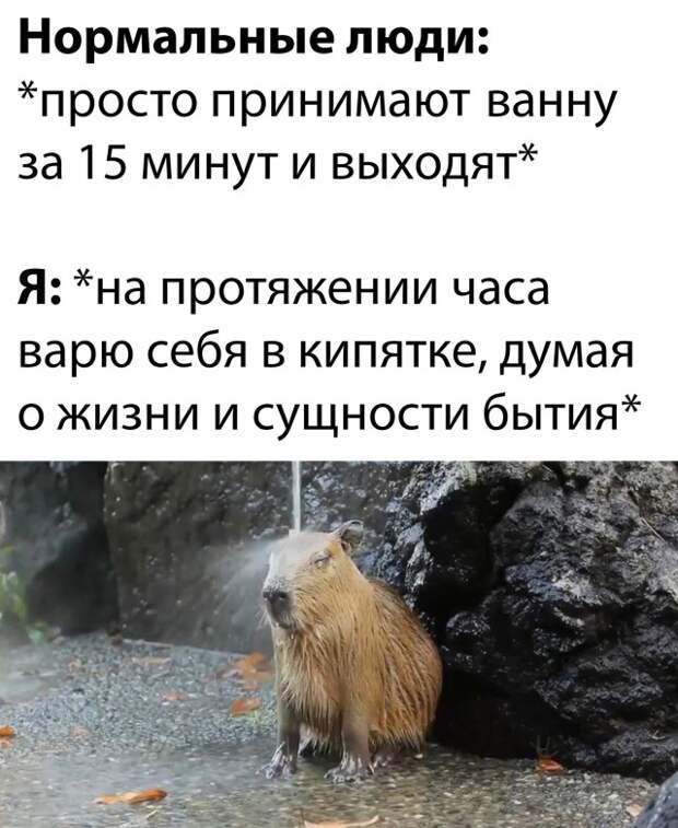 Смешные картинки 10 января 2021 года