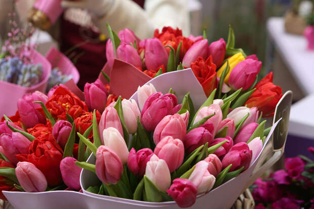 Флорист Сафронова: сахар не поможет продлить жизнь букету