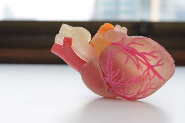 Light: сканирование кожи выявляет ранние признаки сердечных заболеваний