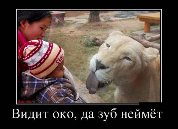 Демотиваторы Демотиваторы