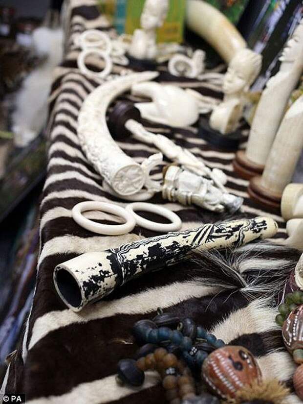 Разнообразие конфискованной контрабанды в аэропорту Лондона аэропорт, контрабанда, конфискация, Лондон, таможня